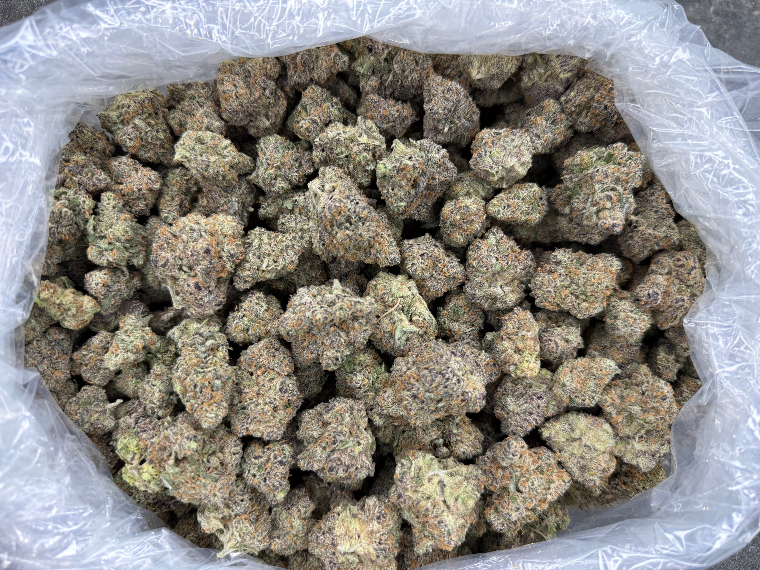 Blueberry Pancake. Indoor CAT3 legal compliant flower.