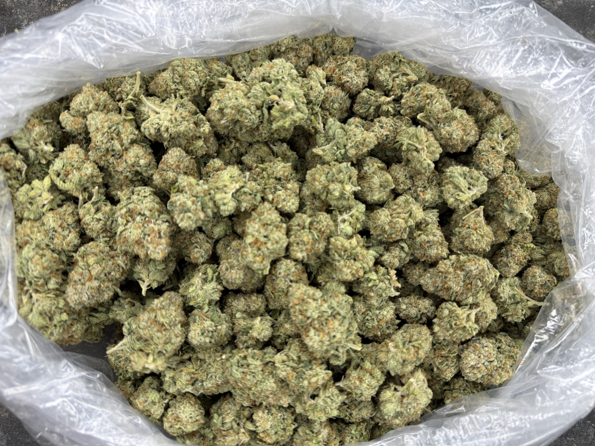 King Louis OG. Indoor CAT3 legal compliant flower.